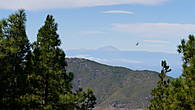 На горизонте виден вулкан Тейде с соседнего острова Тенерифе. (Нам повезло с погодой, чаще за облаками его не видно).