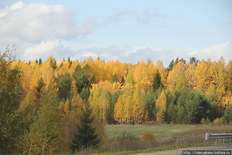 Золото дорог Пермский край, Россия