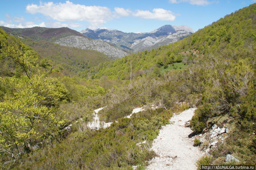 Tarna -Cascada с обледенением.. Водопад  Tabayon.. Инфиесто, Испания