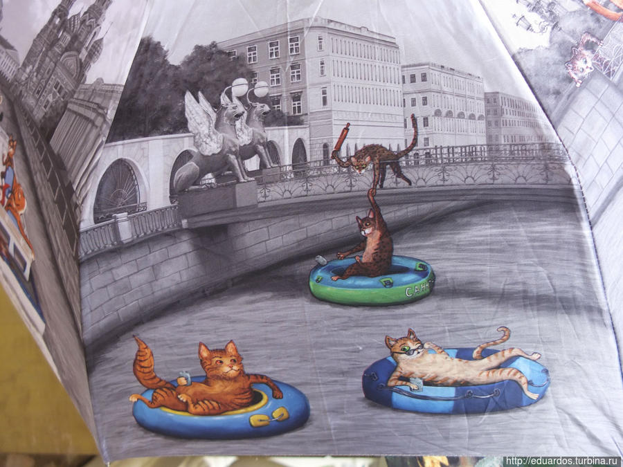 зонтичные кошки Санкт-Петербург, Россия