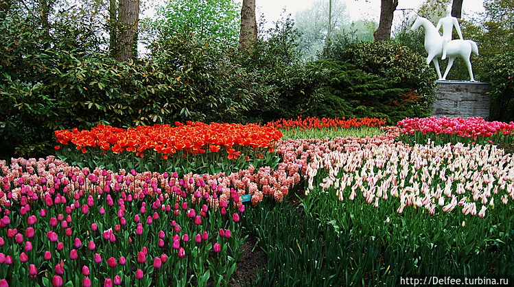 В парке представлено множ