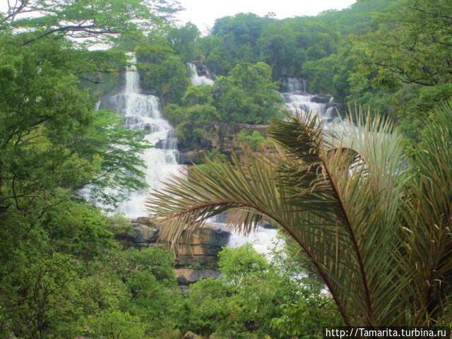 Водопад KIMANI, где много диких обезьян Иринга, Танзания