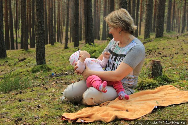 В стране берёзок, прохладного лета, селёдки и ОМС. Часть 2 Санкт-Петербург, Россия