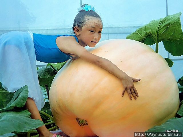 Разное о Китае Китай