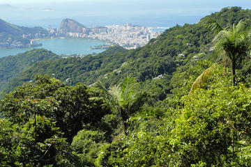 Тижука Национальный Парк / Tijuca National Park