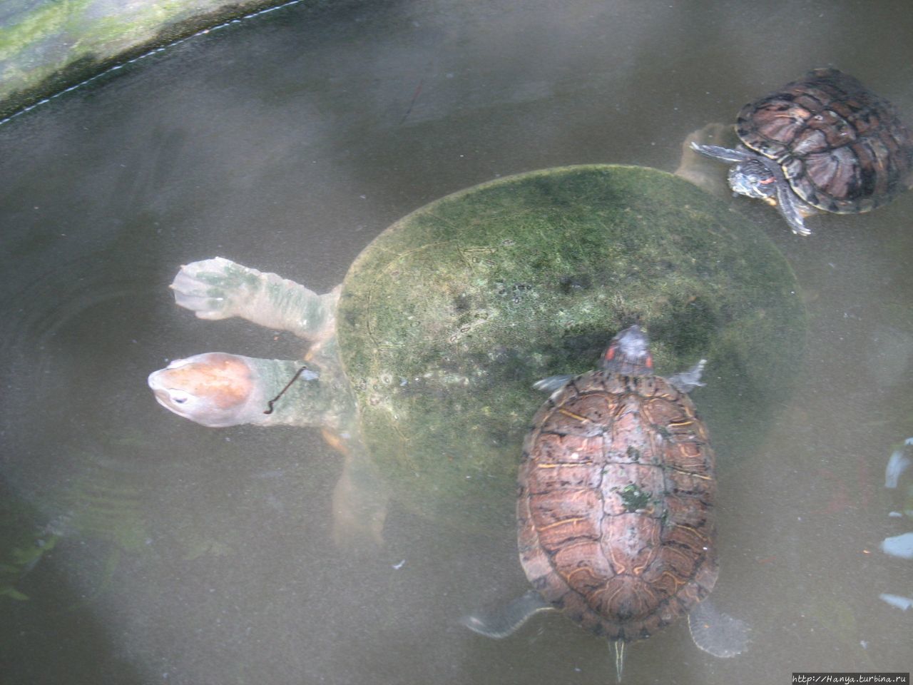 Парк бабочек