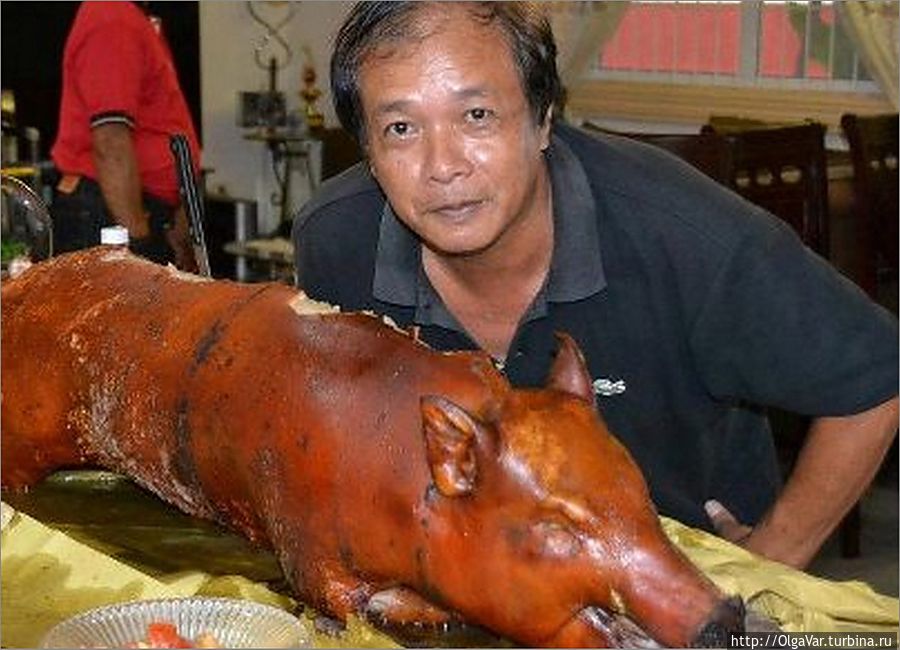 Наш Леонардо (фото из архива Леонардо). Кстати, у него как раз день рождения в последний день зимы. Happy birthday to you, Leonardo!