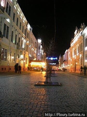 Пешеходная ул.им.О.Кобылянской (Панська)