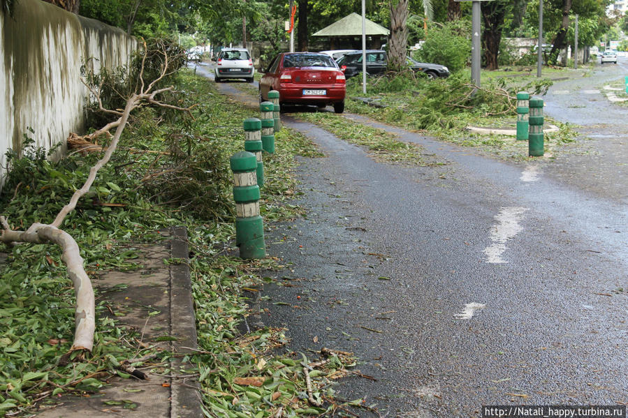 Последствия стихии Сен-Дени, Реюньон