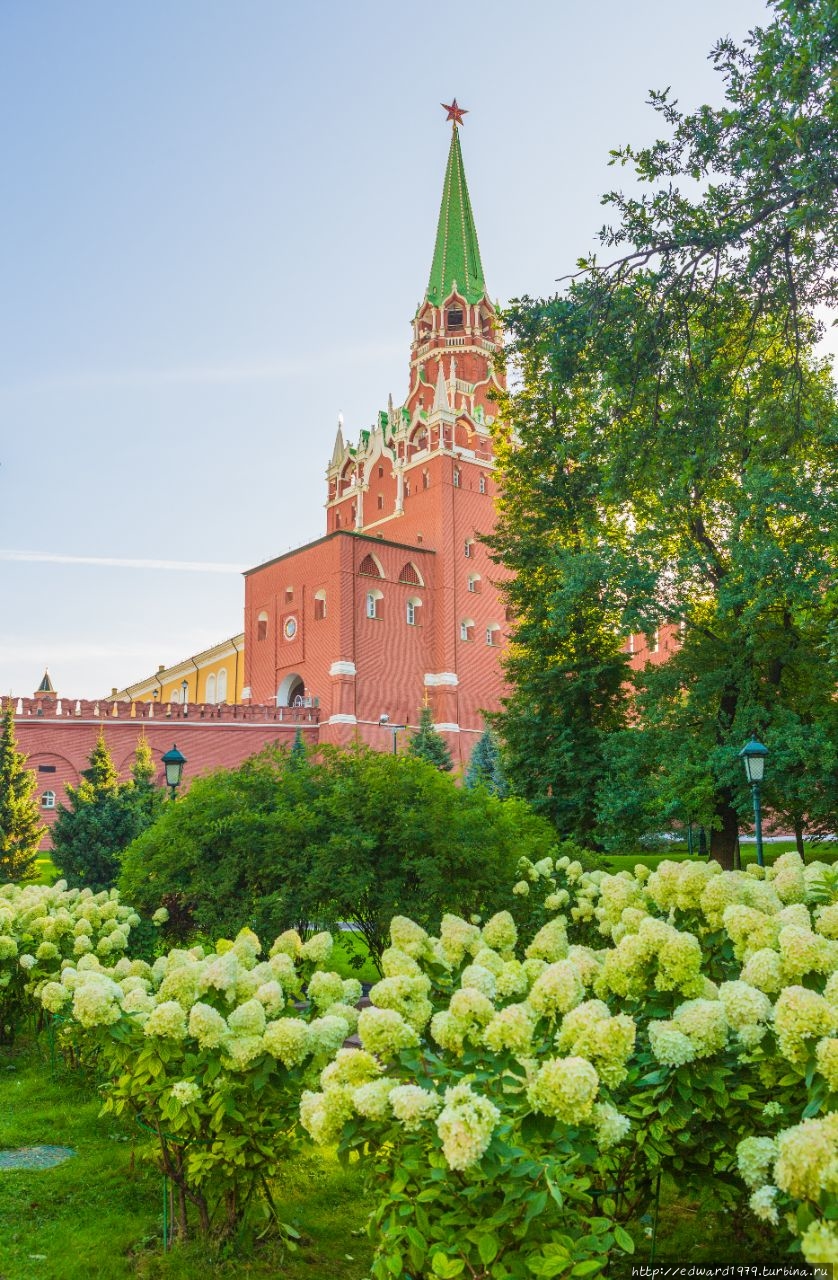 Прогулка по утренней Москве Москва, Россия