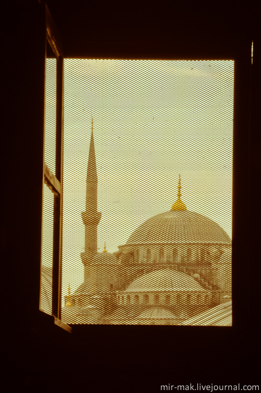 В одном из окон виднеются купола и минареты Голубой мечети. Стамбул, Турция