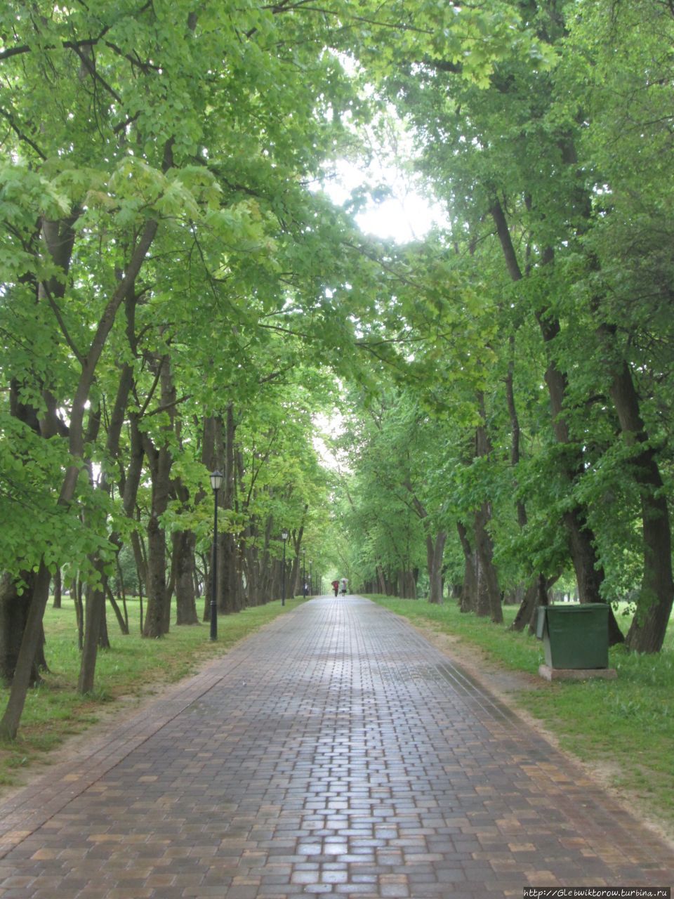 Прогулка по Лошицкому парку в мае Минск, Беларусь