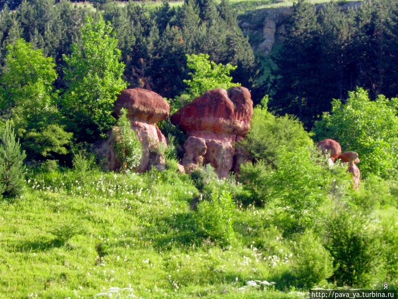 Красные камни — Грибы Кисловодск, Россия
