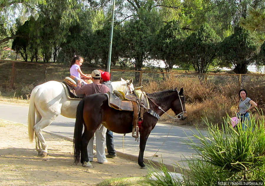 Здесь можно покататься на лошади Мехико, Мексика