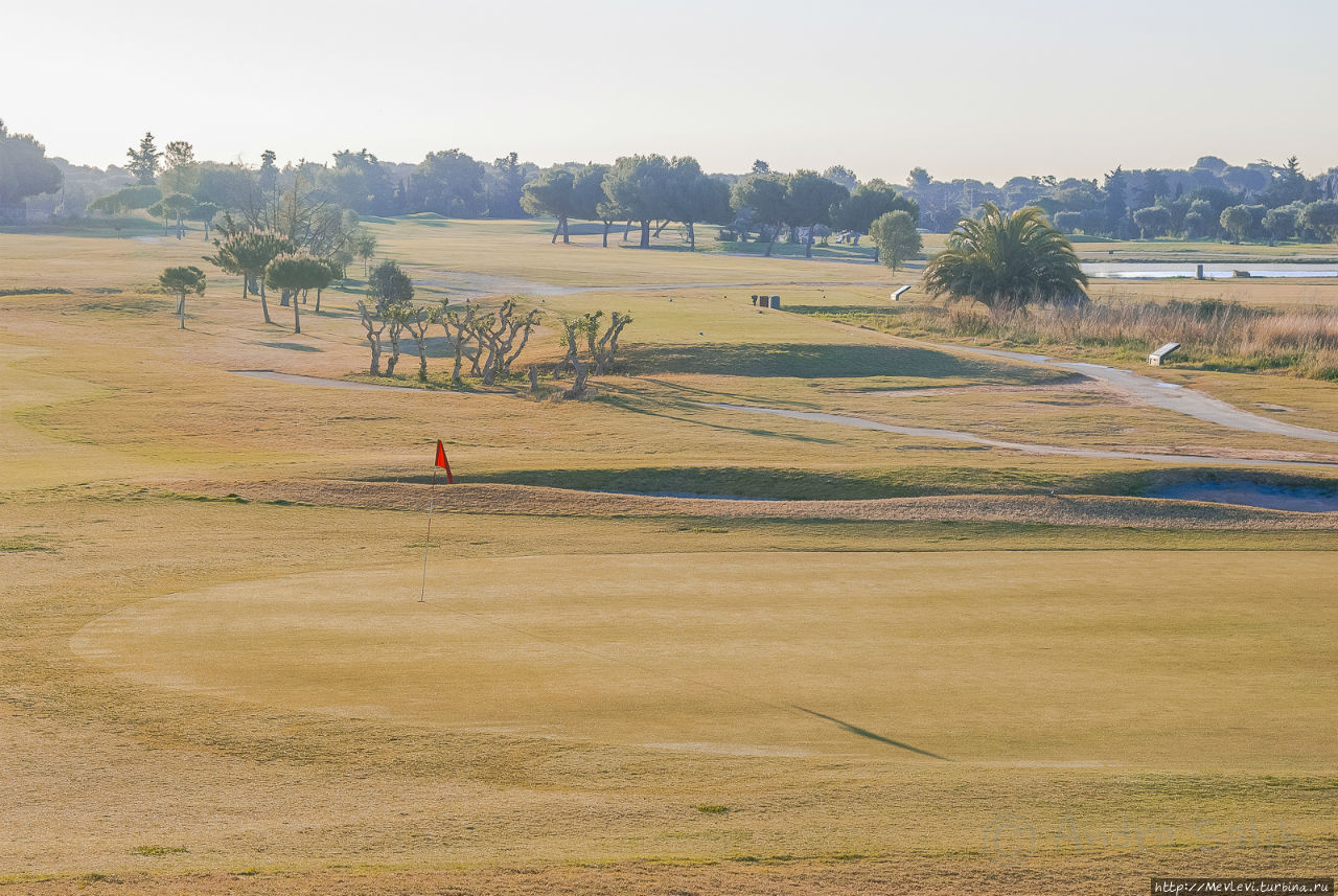 Маковое поле у фермерского дома в Испании Испания