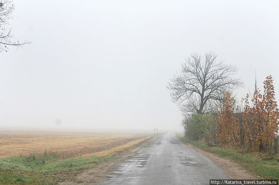 Засковичи: Край тумана и коров Минск и область, Беларусь