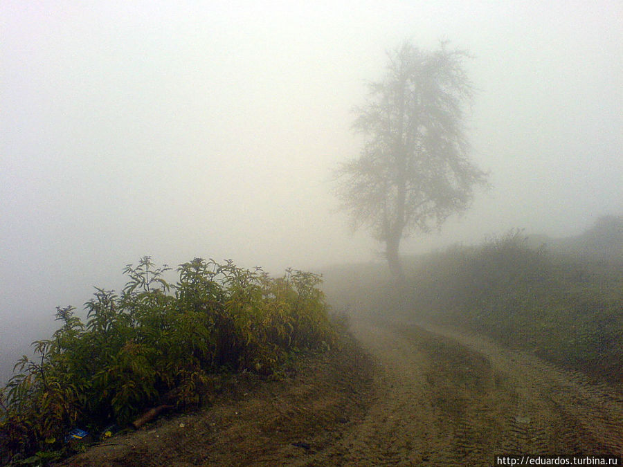 Прогулки по туманности и облачности Веденского ущелья Ведено, Россия