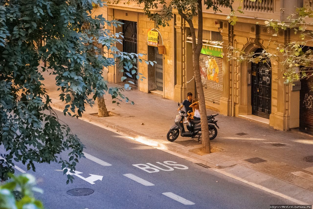 Август в Барселоне Барселона, Испания