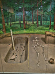 Скелеты, найденные в могилах рядом с древними поселениями