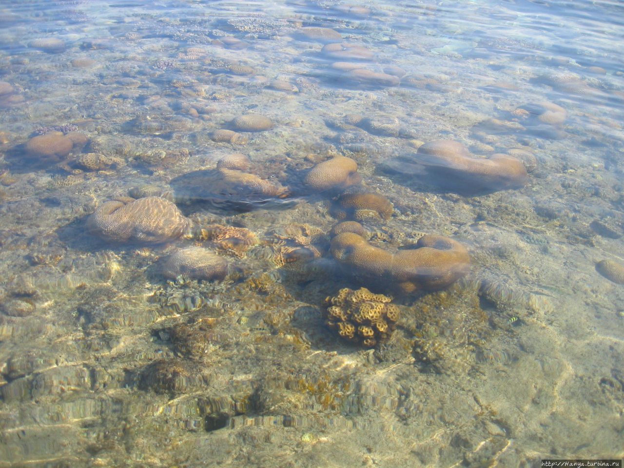 Пляж отеля Berjaya Tioman Beach Пулау-Тиоман, Малайзия