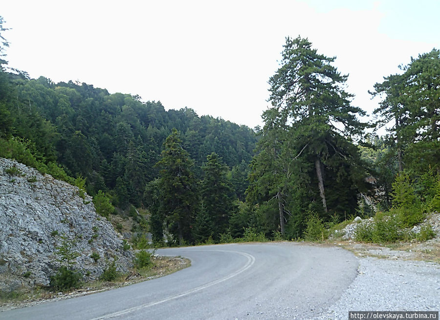 Дорога в горы невероятно живописна. Знали боги, где поселиться Центральная Македония, Греция