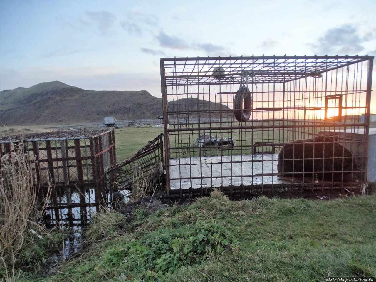 Мыс Кузнецова. Рай для животных и птиц Мыс Кузнецова, Россия Мыс Кузнецова. Рай для животных и птиц Мыс Кузнецова, Россия