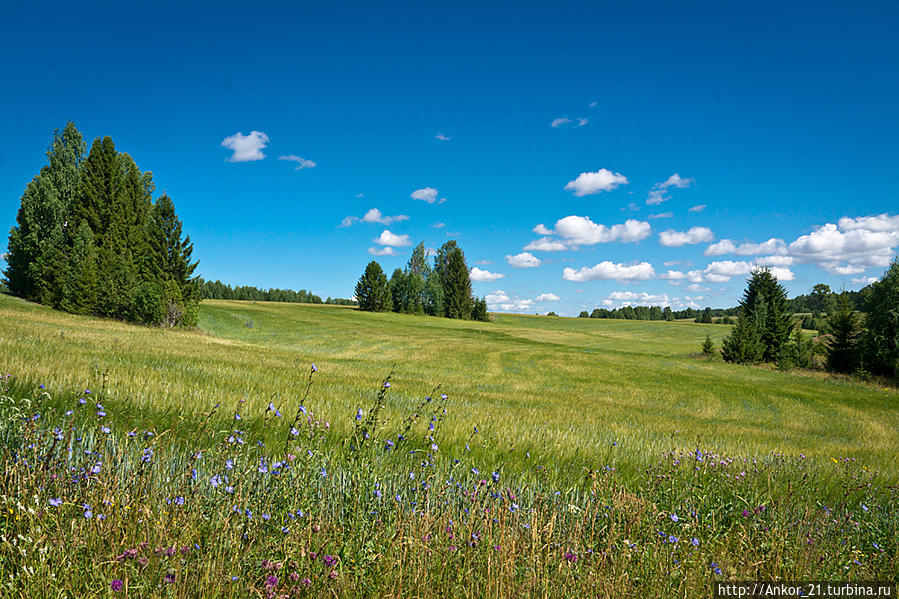 Один день в Ошети Кировская область, Россия