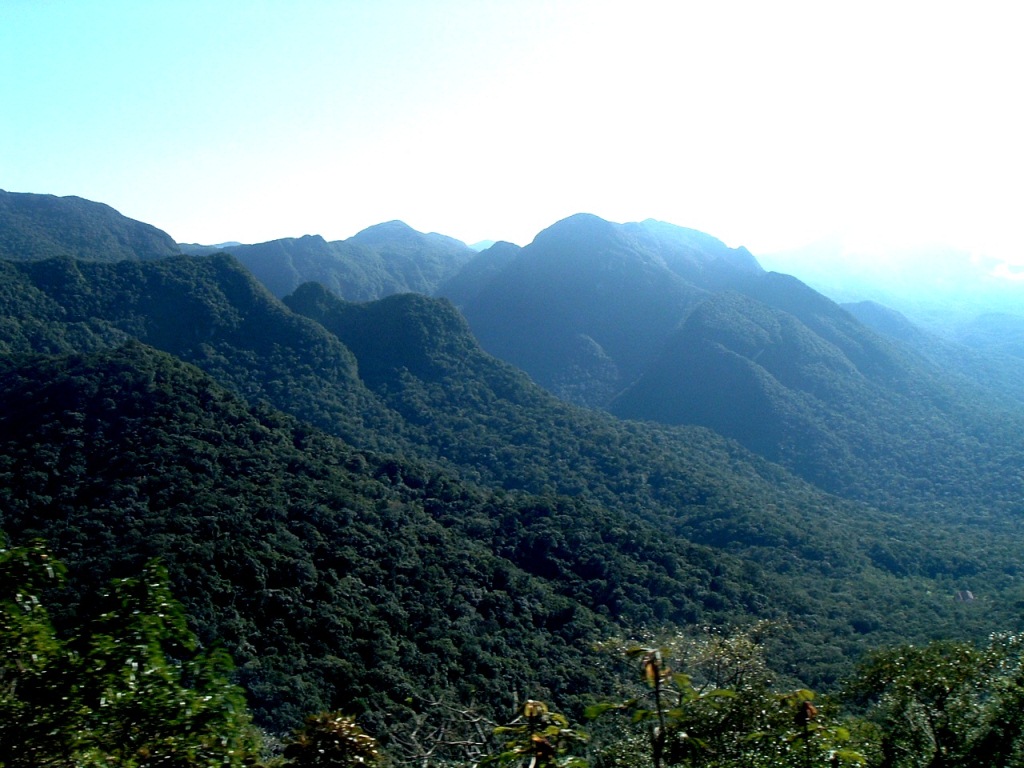 На туристическом поезде через горы и заповедные джунгли Морретис, Бразилия