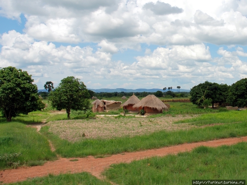 Моя первая Африка. Впечатления от Замбии Саус-Луангва Национальный Парк, Замбия