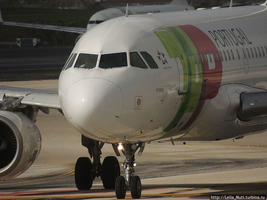 Первым делом самолеты....