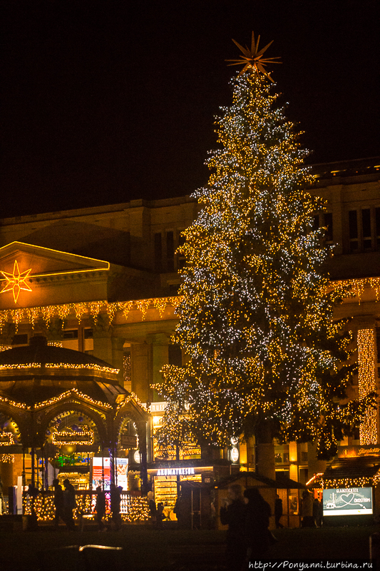 На рождественском рынке с друзьями Штутгарт, Германия