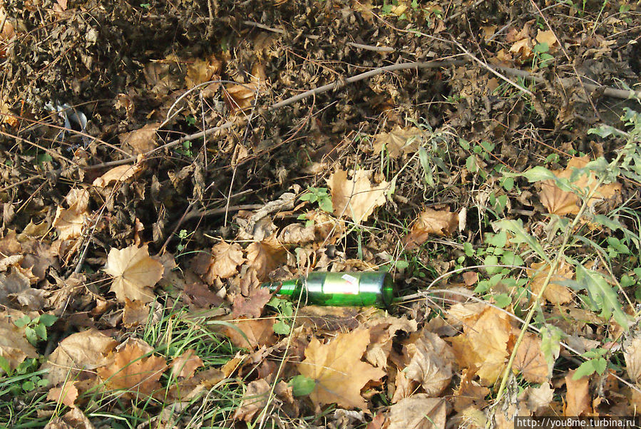 Богородск Москва и Московская область, Россия