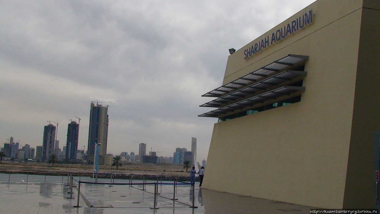 Морской музей в шардже