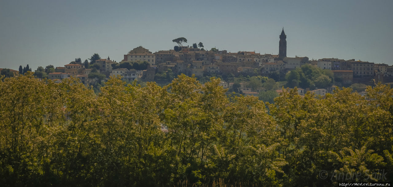 Маки Тосканы Тоскана, Италия