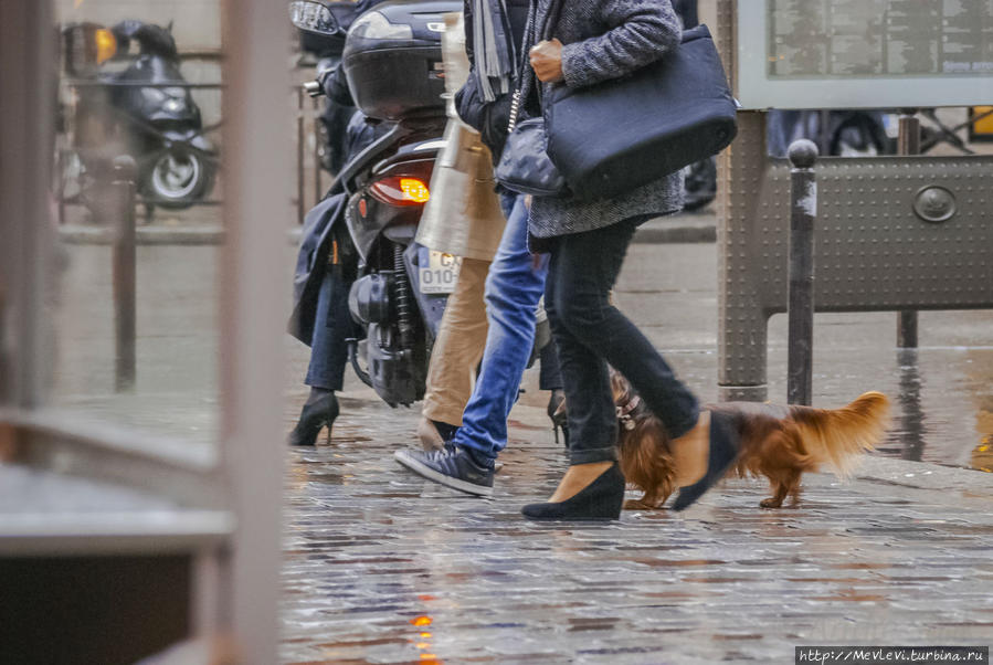 В дождик в Париже Париж, Франция