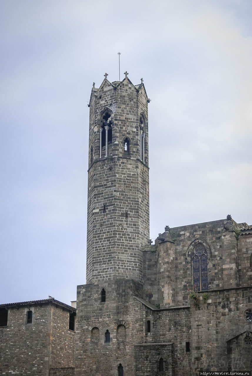 Обозреваем Барселону Барселона, Испания