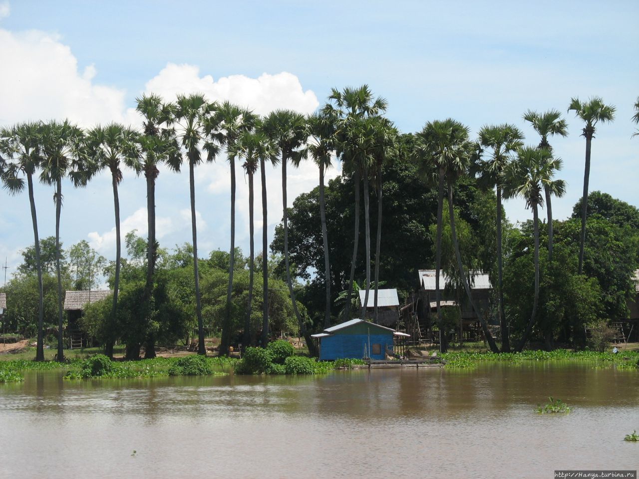 Вдоль Меконга Сиемреап, Камбоджа