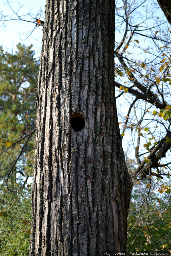Засентябрило за окном Оренбургская область, Россия