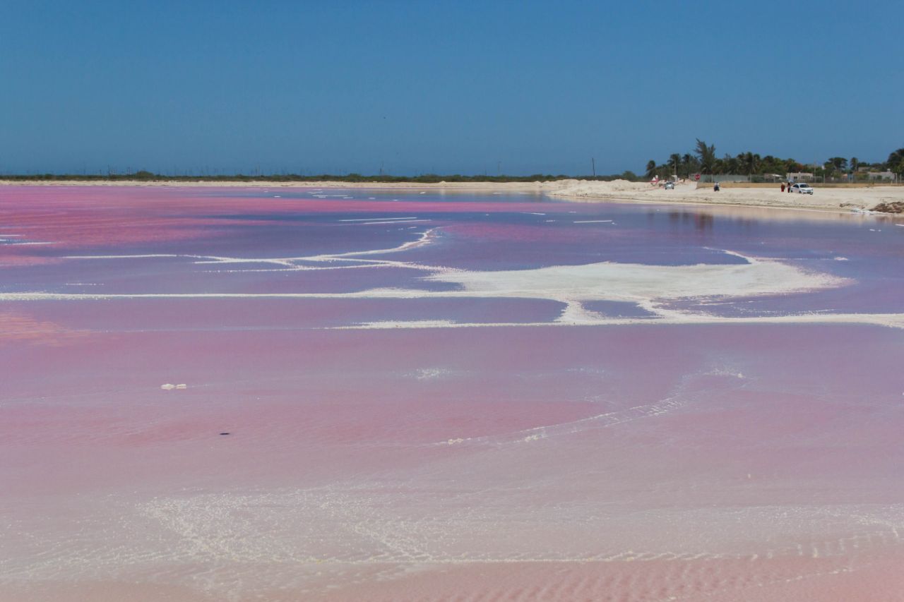 Розовые озёра Лас Колорадас (Las Coloradas). Заповедник Рио Лагартос. Рио-Лагартос Национальный Парк, Мексика