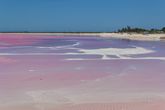 Розовые озёра Лас Колорадас (Las Coloradas). Заповедник Рио Лагартос.