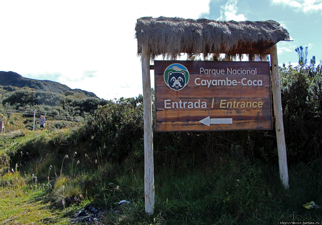 N.P. Cayambe-Coca — горы, реки, водопады. Дорога в облаках Кайамбе-Кока Экологический Заповедник, Эквадор