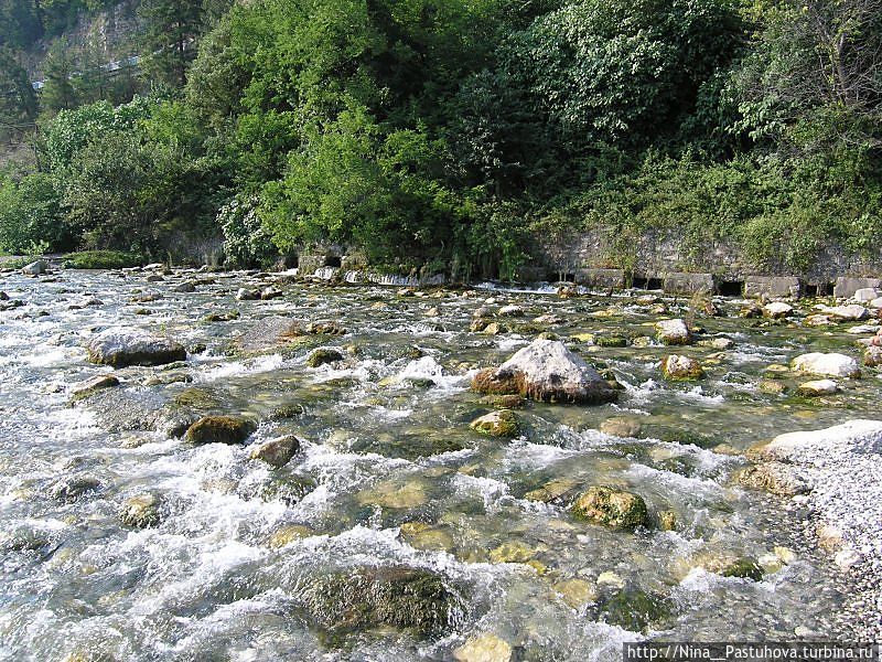 Самая  короткая  река  в  мире Гагра, Абхазия