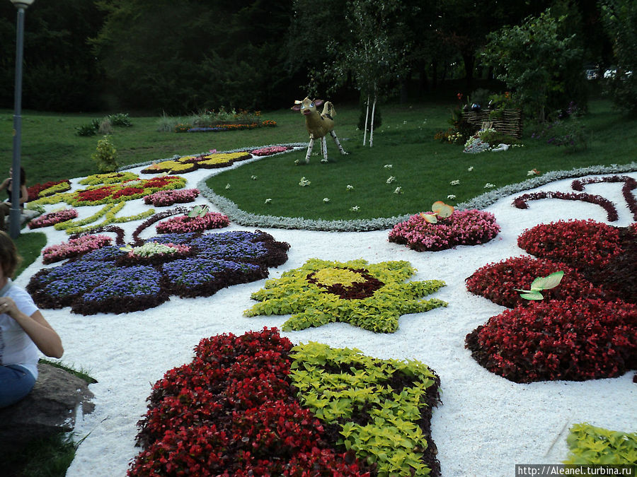 Выставка цветов Киев, Украина