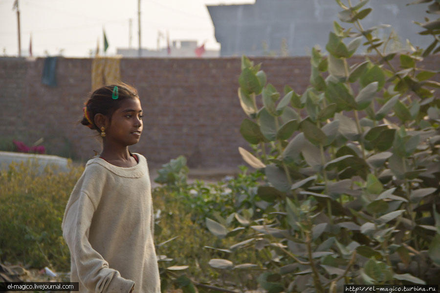 Биканер. Дворцы и нищета в одном флаконе Биканер, Индия