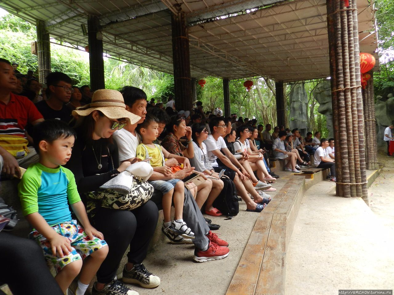 Экскурсия на Остров Обезьян  (南湾猴岛 – Nanwanhoudao) Остров обезьян Наньвань, Китай