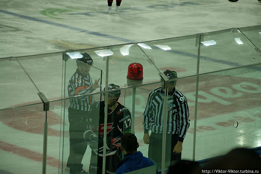 Авангард сильнее Льва Омск, Россия