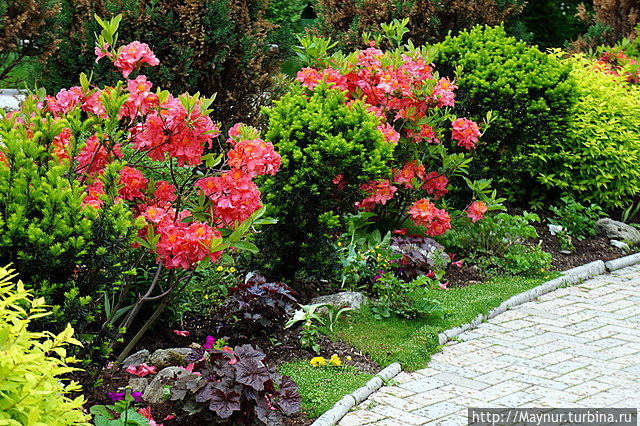 День музея Южно-Сахалинск, Россия
