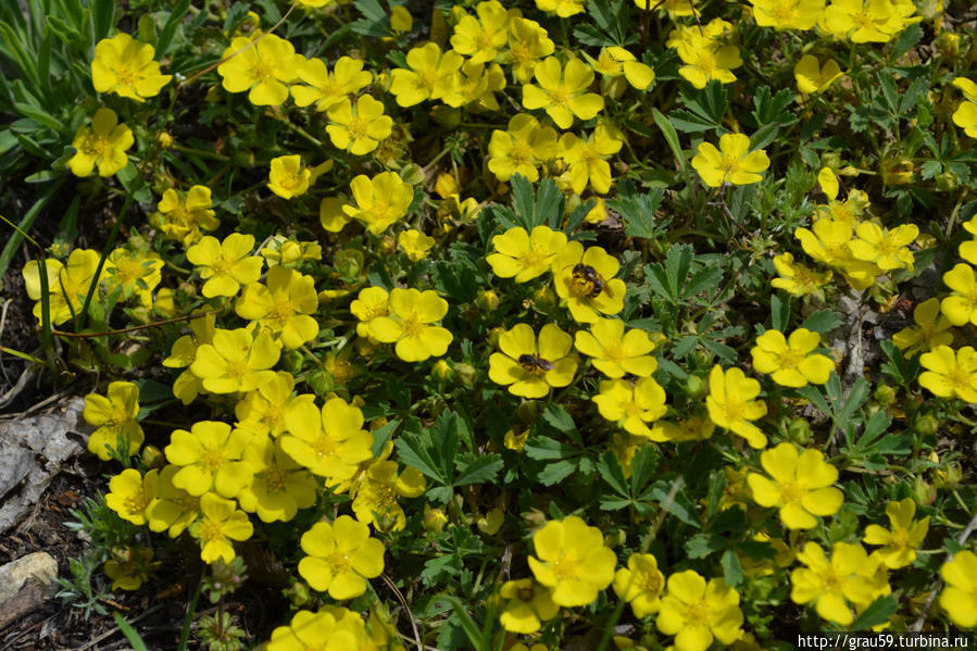 На встречу с 