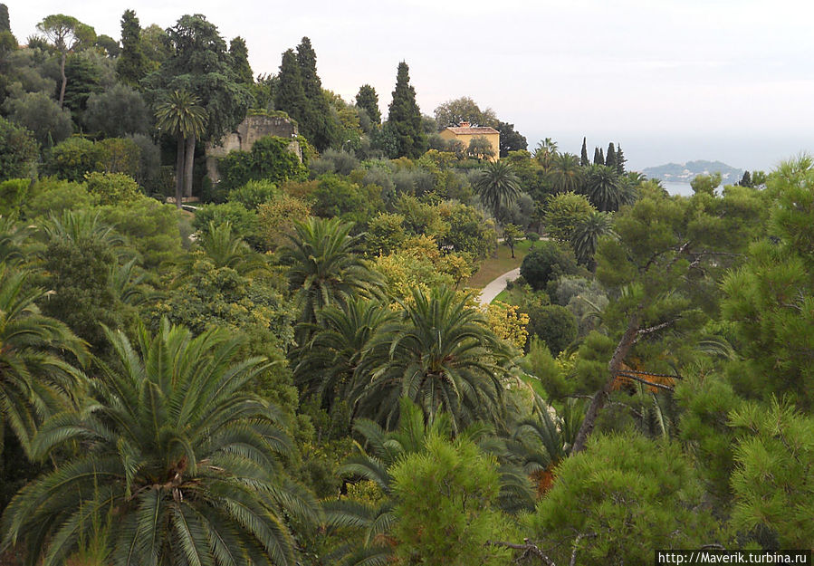 Всё утопает в зелени. Здесь много садов и парков.