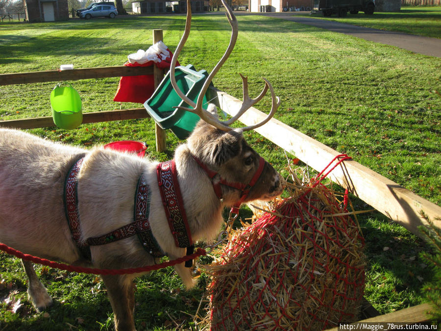 Почувствуйте себя счастливее Нортхемптон, Великобритания
